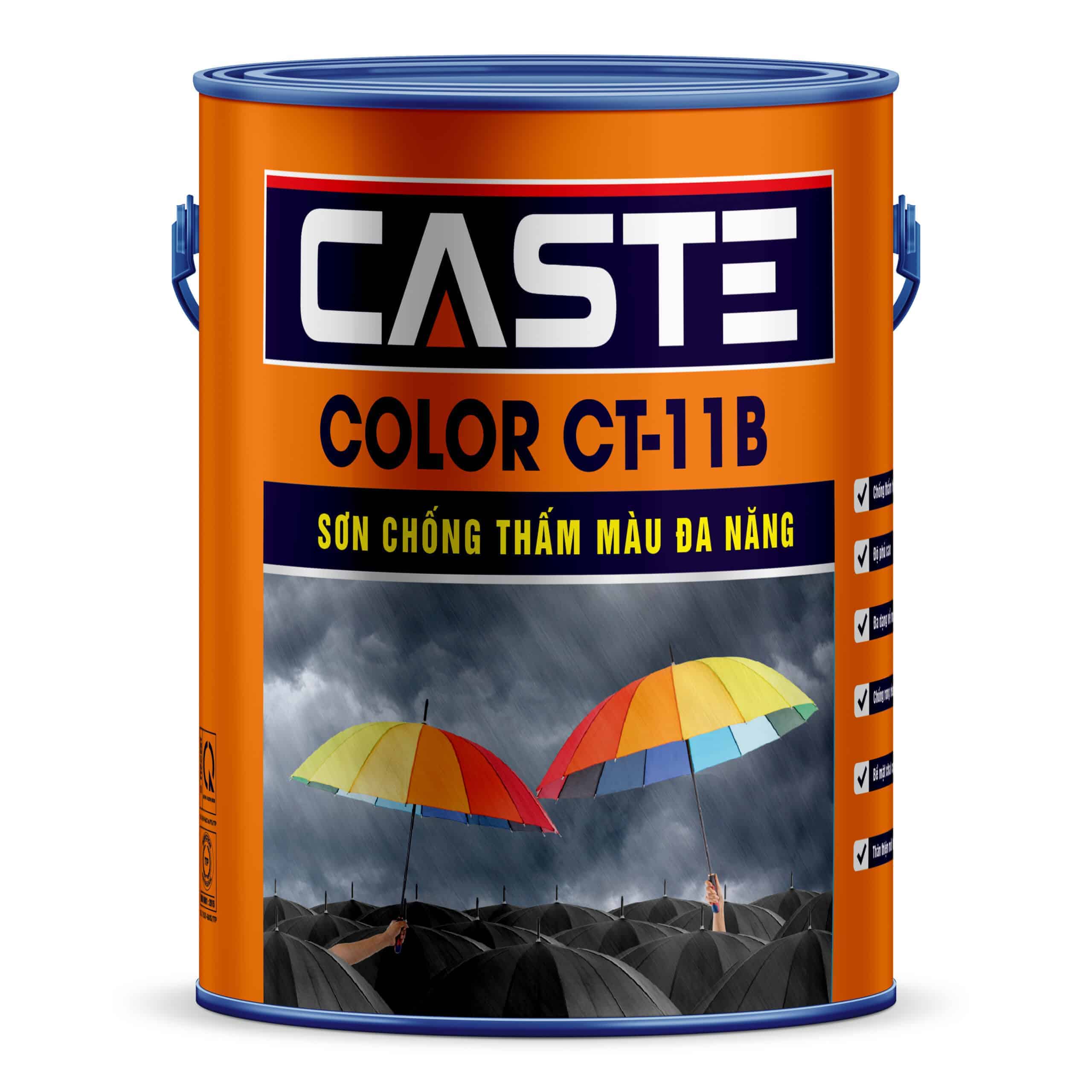 Sơn Chống Thấm Màu Đa Năng Color CT-11B Caste